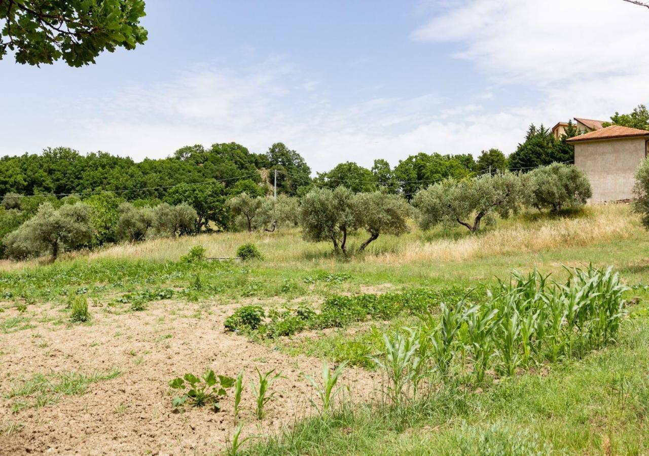 Agriturismo La Vammora Laviano المظهر الخارجي الصورة